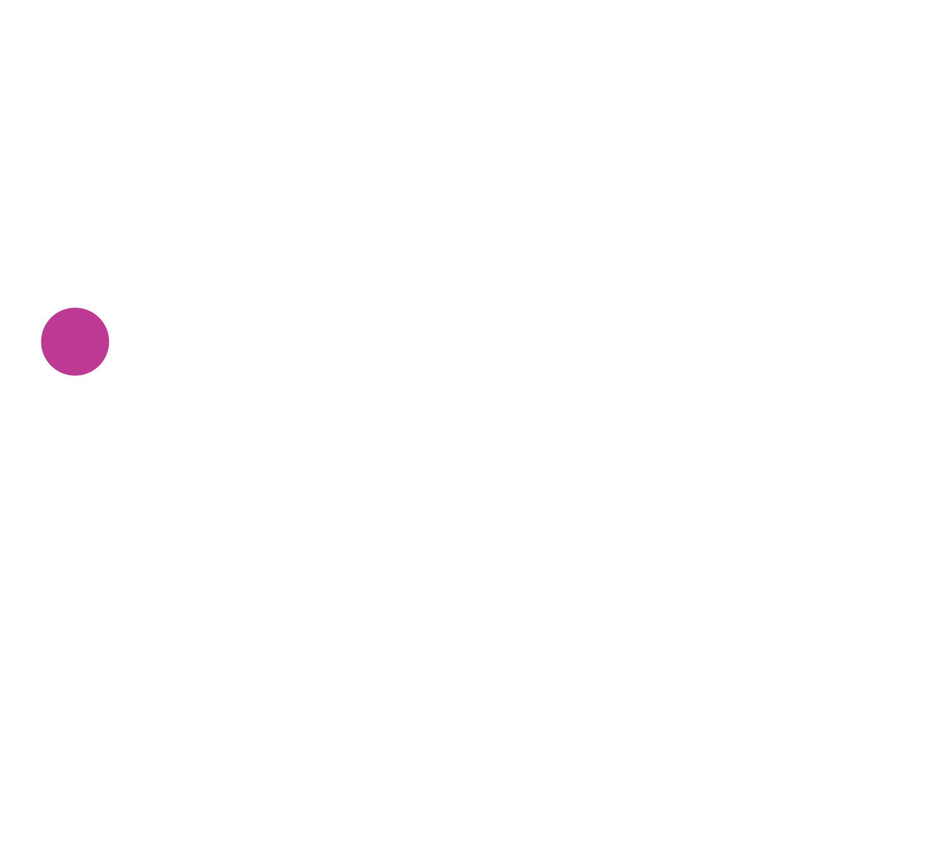 Sanint Group